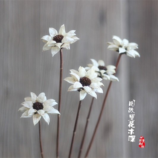 【雪莲花】小清新自然家居会所摆设手工花造型艺术干花草雪莲花