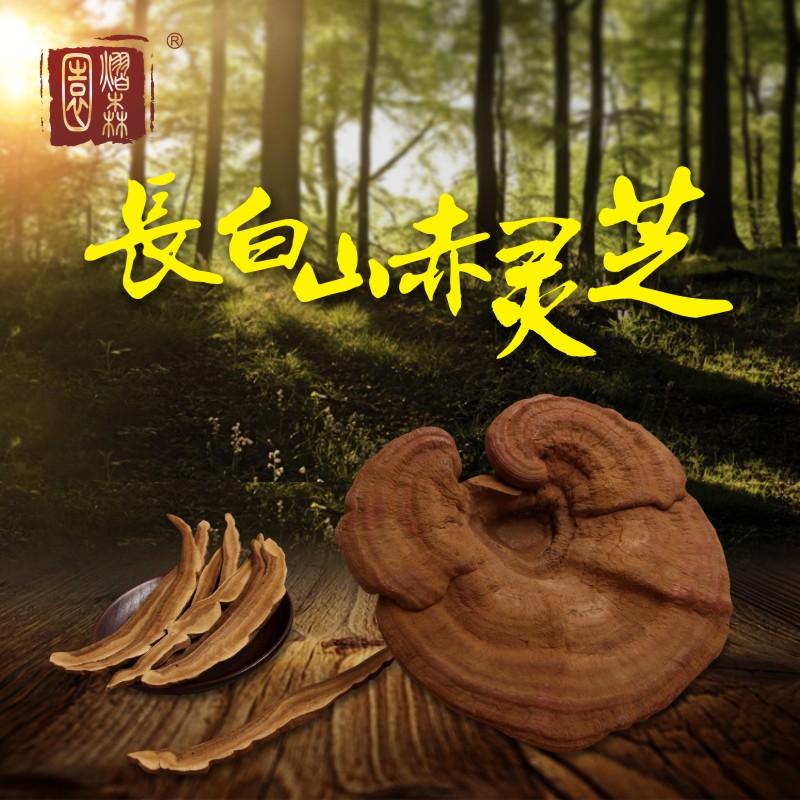【买3送1】熠森园 半野生赤灵芝 长白山整枝林芝可切片250g