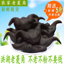 洪湖新鲜菱角老菱角野生现摘青菱角 新鲜蔬菜水栗 菱角果 包邮 5斤