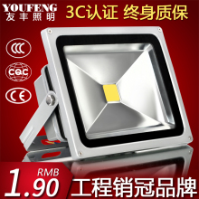 LED投光灯10W50W防水户外灯室外灯泛光灯广告灯20W30W100W投射灯