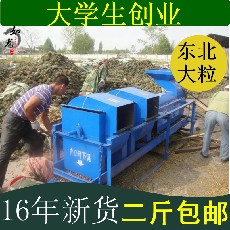 2016东北大红松子仁未加工不开口新鲜原味生松子250g包邮松鼠口粮