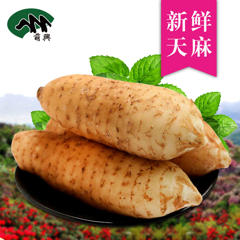 天麻云南特产丽江深山新鲜小天麻仿野生非昭通小草坝乌红天麻500g