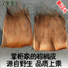 包邮 棕榈皮复古家居棕毛棕榈衣绿萝棒棕衣棕片棕树皮棕丝绿植盆栽