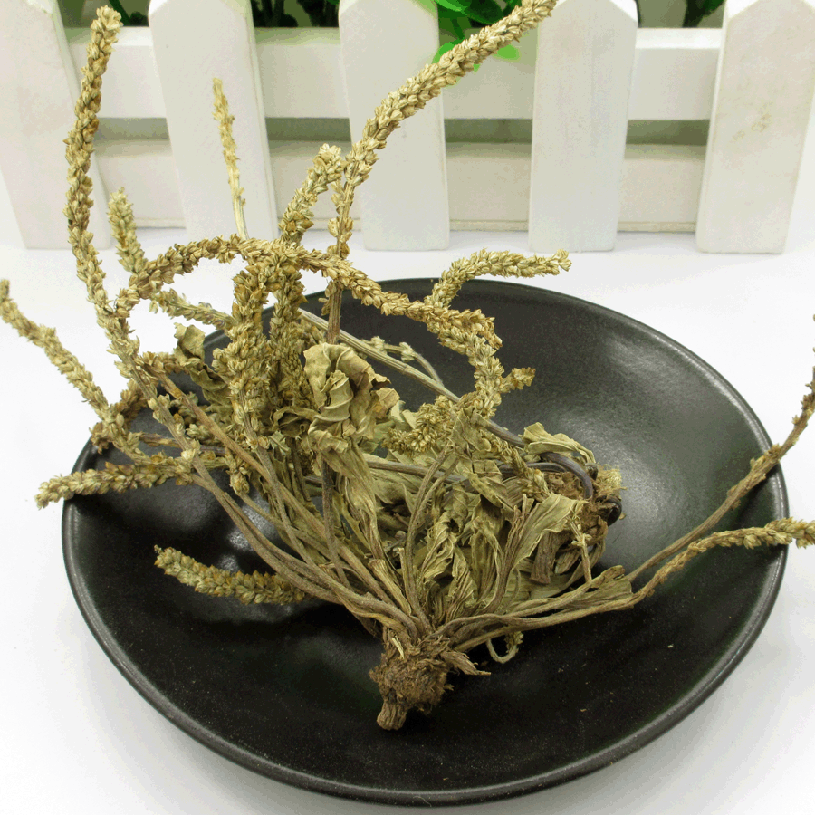2015年新货车前草干车前草全草野生车前草茶整棵车前草500克29元