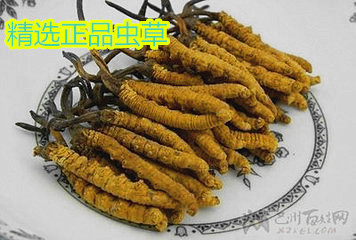中药材滋补品冬虫夏草正品3~5根一克 那曲冬虫草 冬虫夏草