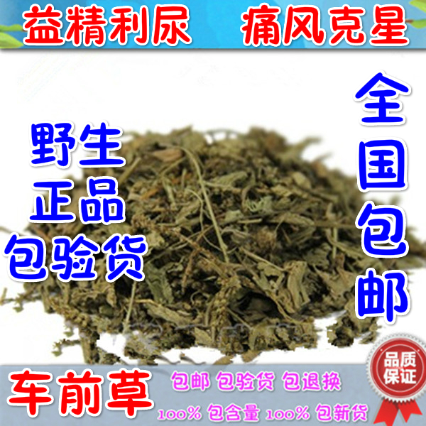 野生 车前草 新鲜 车前草干 茶 500g 包邮 中药材 五更草 田灌草
