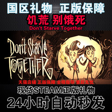 别饿死 联机国区全球 Together饥荒 Don Starve Steam正版饥荒