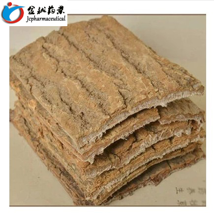 杜仲皮杜仲炒杜仲野生杜仲皮 老树杜仲 厚皮杜仲茶可泡酒