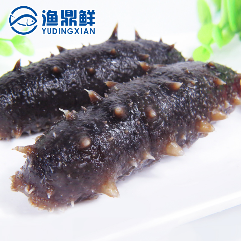渔鼎鲜 即食海参 无添加海参500g 深海野生辽参高压刺参 顺丰包邮