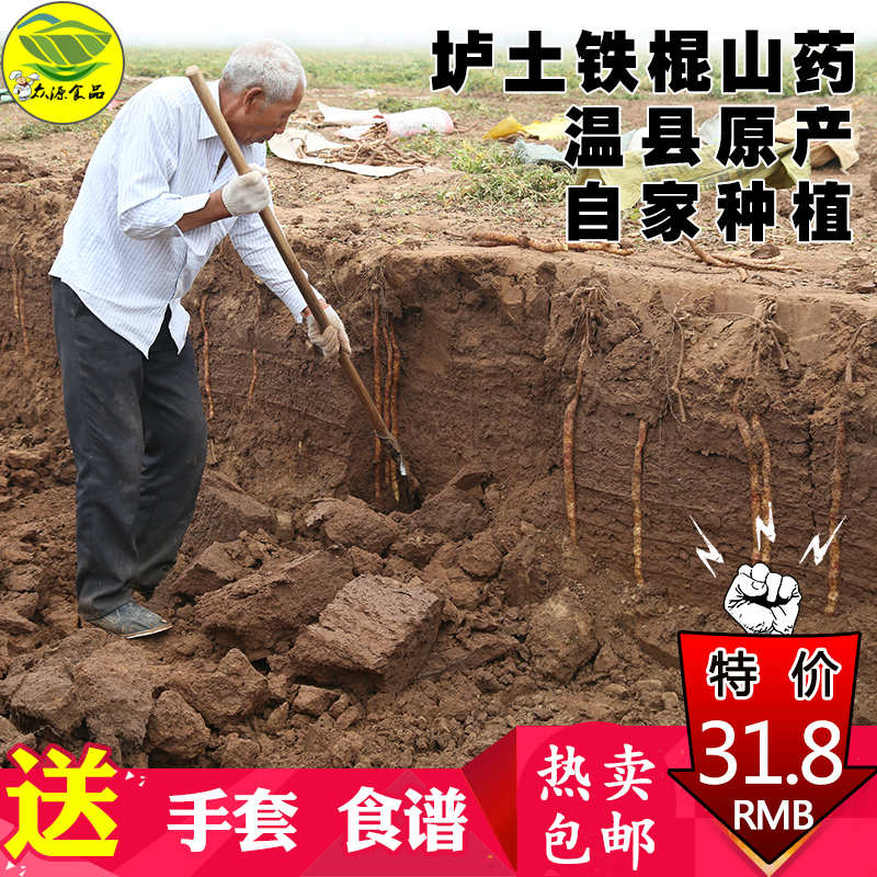 众源河南焦作温县正宗垆土铁棍山药怀淮山药新鲜铁杆山药现挖包邮