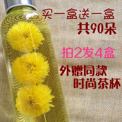 买2送杯菊花茶特级徽州黄山婺源皇菊一朵一金丝大黄菊下火批 发