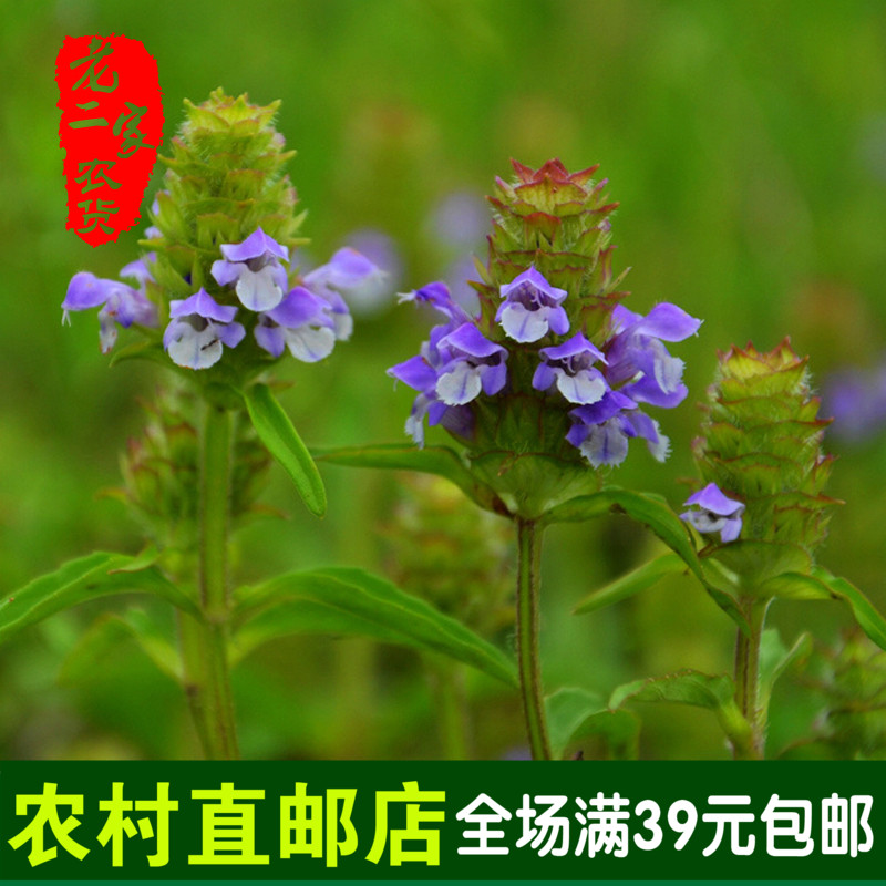 16年新货野生夏枯草湿诊花草茶去火明目中药材250克