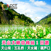 天山大峡谷一日游 跟团旅游 天鹅湖7蛇山纯玩 乌鲁木齐 新疆康辉
