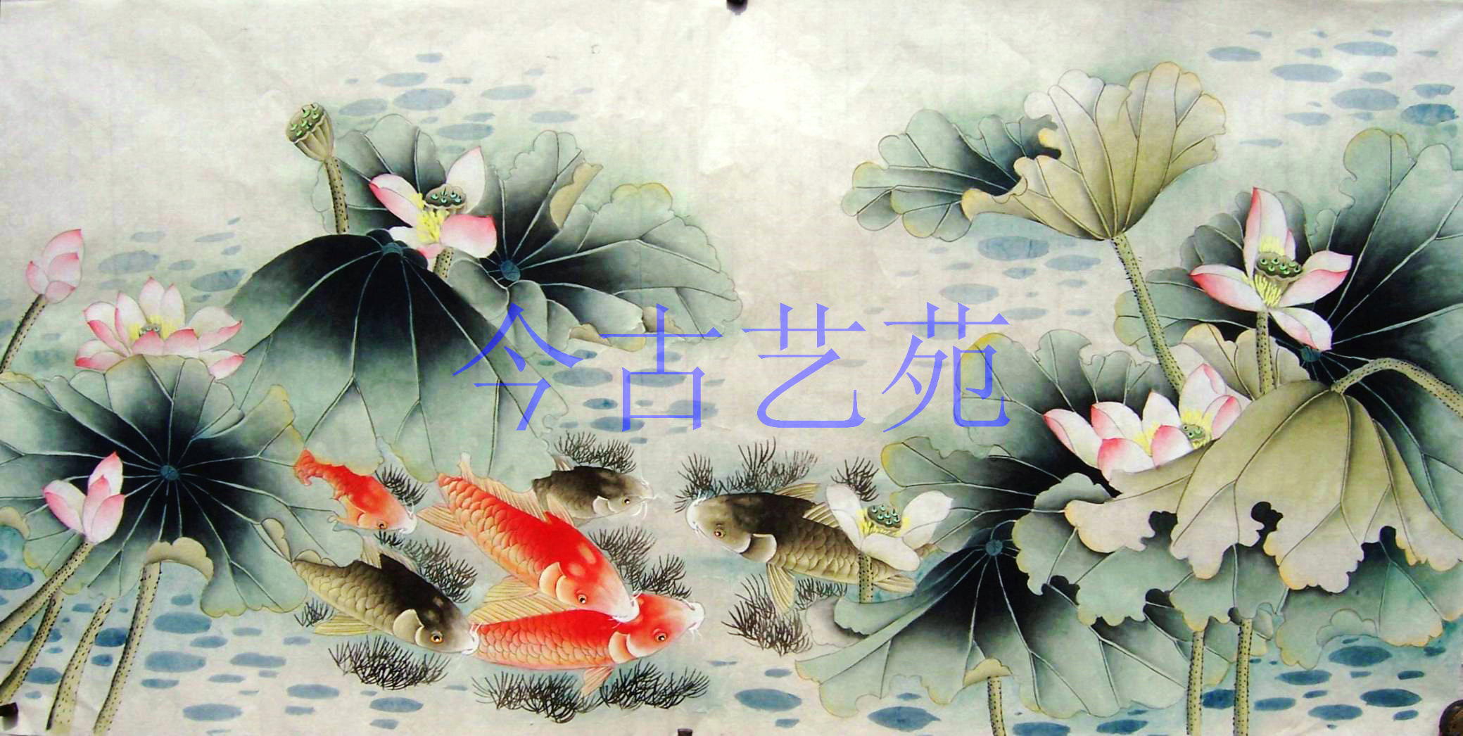 字画国画花鸟工笔荷花鲤鱼《六顺图》花鸟画水墨荷花书画913-2