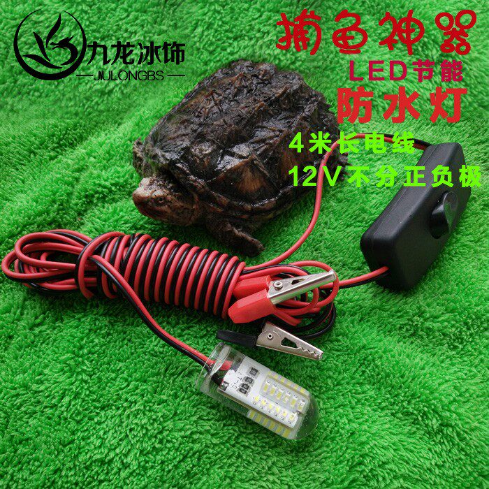 12v下水捕鱼灯强光防水 水下灯led灯钓鱼灯夜钓超亮灯扑鱼竿抄网在类目 家装主材, 光源, LED光源, LED单灯中 - 来自Buy2taobao.com提供专业的淘宝代购服务
