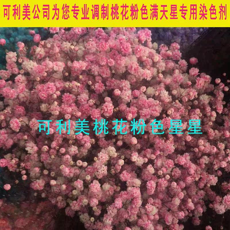 纳米彩虹玫瑰染色剂 满天星吸色染料 蓝色妖姬培养液鲜花染料七彩