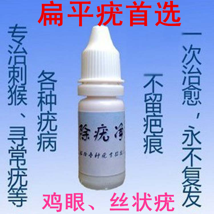 刺猴偏方大全,刺猴,小刺猴图片_文秘苑图库
