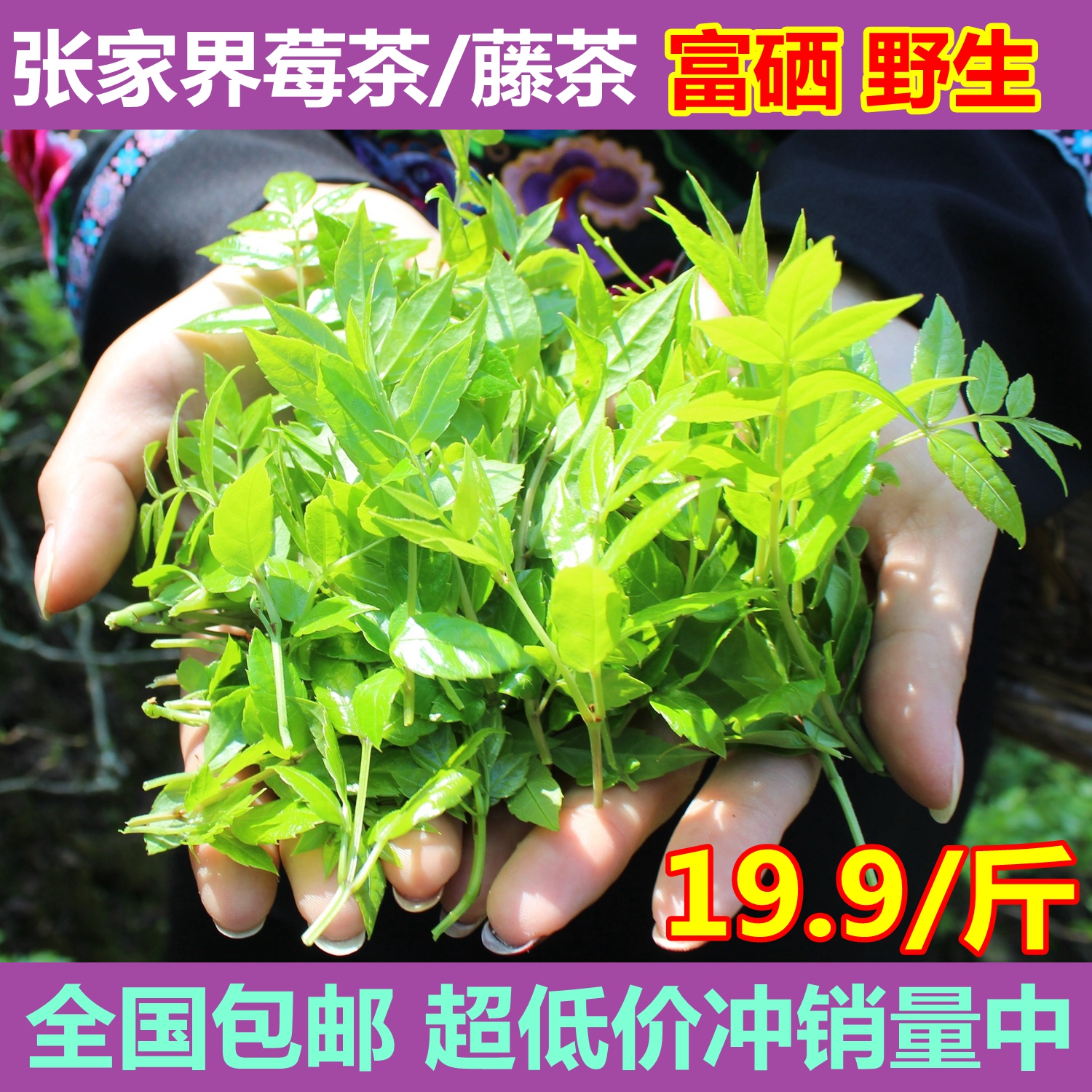 张家界野生 新莓茶藤茶茅岩霉茶土家甘露 养生茶买1送1 全国包邮