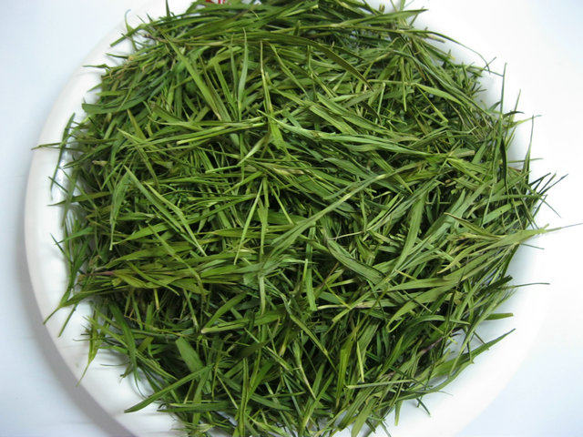 2017原产地山东竹叶茶花草茶石竹茶淡竹叶茶500克包邮