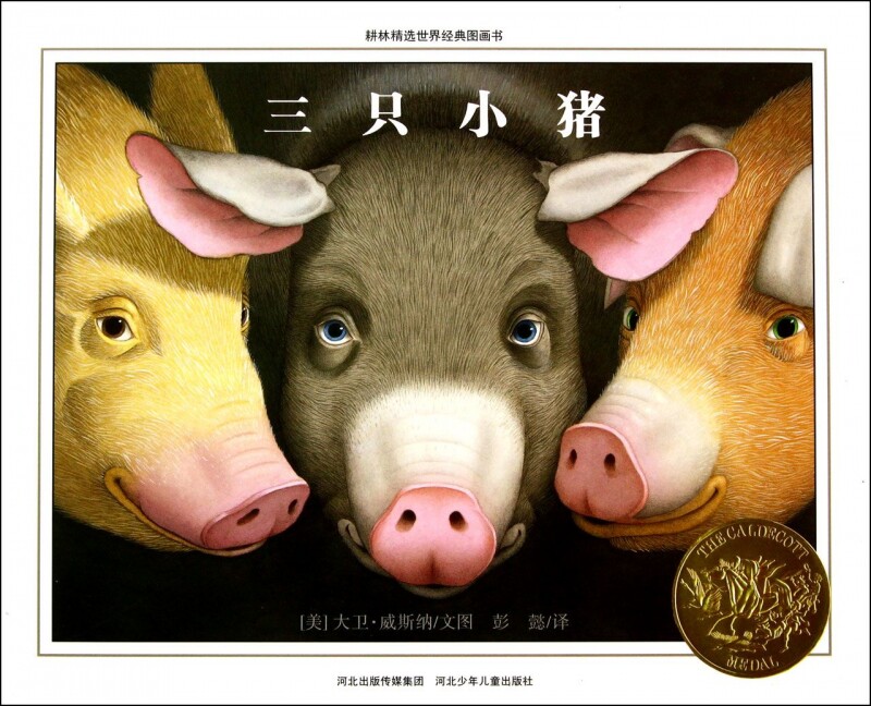 耕林童书馆出品 精装图画书 绘本 大卫威斯纳作品