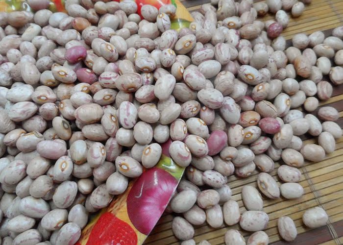 高山粉豆 水豆 芸豆花豆雀蛋豆500g花芸豆 补/肾豆 五谷杂粮 包邮