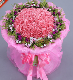 康乃馨重庆鲜花速递万盛九龙坡南岸区丰都城口梁平县母亲节送花