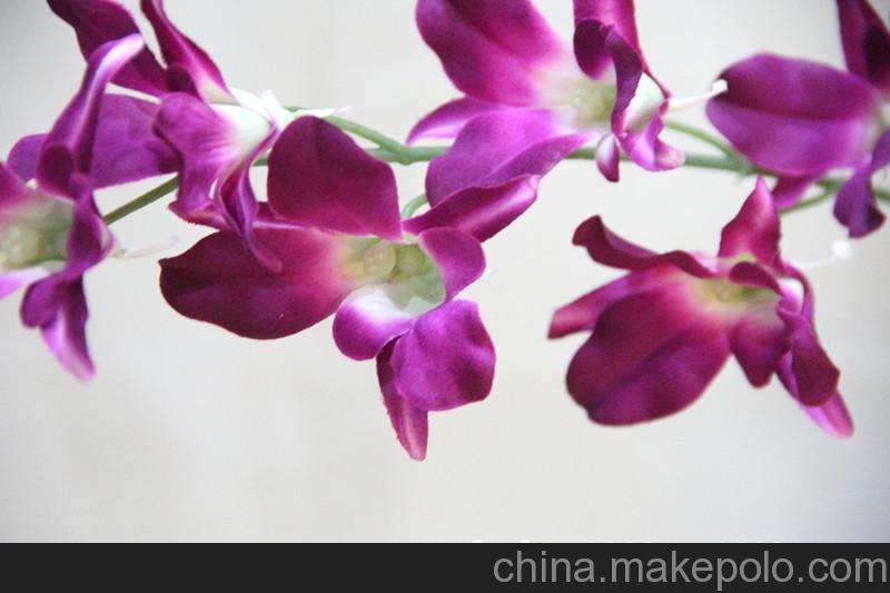 杨兰花摆盘菜品图片,菜品摆盘图片大全,牛排摆盘花样图片_大山谷图库