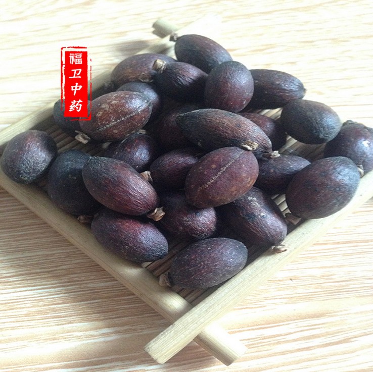 野生 倒吊黄根黄花倒水莲 黄花大远志观音串倒吊王 包邮