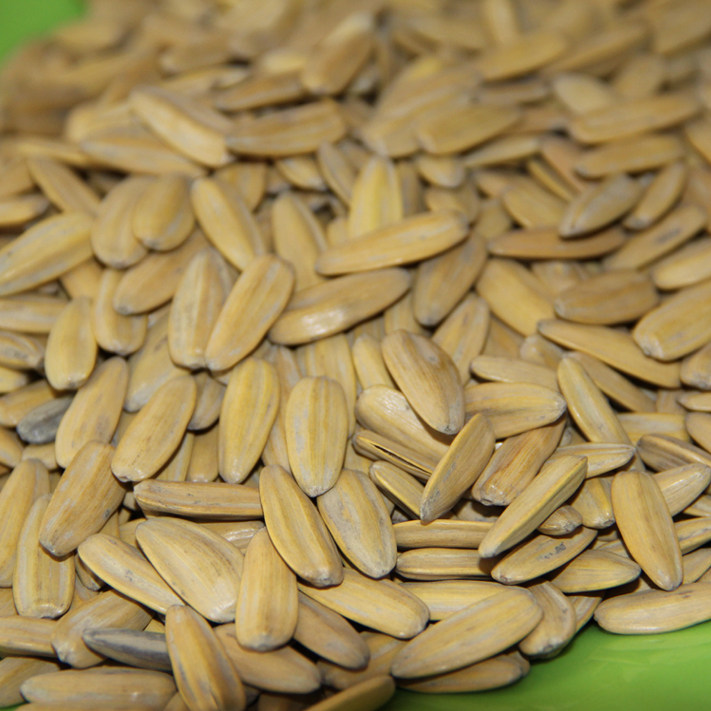 安徽蚌埠特产丁老头炒货瓜子新葵花籽|葵瓜子休闲食品|黄葵