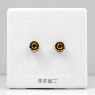 国际电工86型钢架音响墙插 音响线音频插座 二孔一联二位二头音响