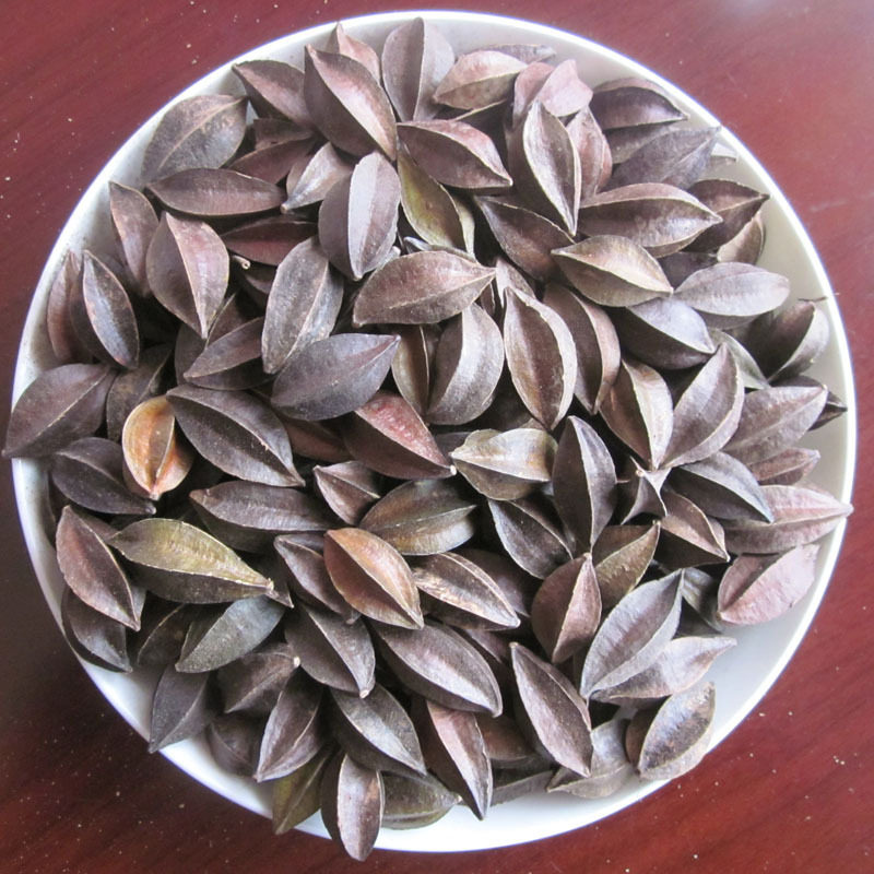 中药材精选 使君子 留求子 史君子 五棱子 索子果500克2斤包邮