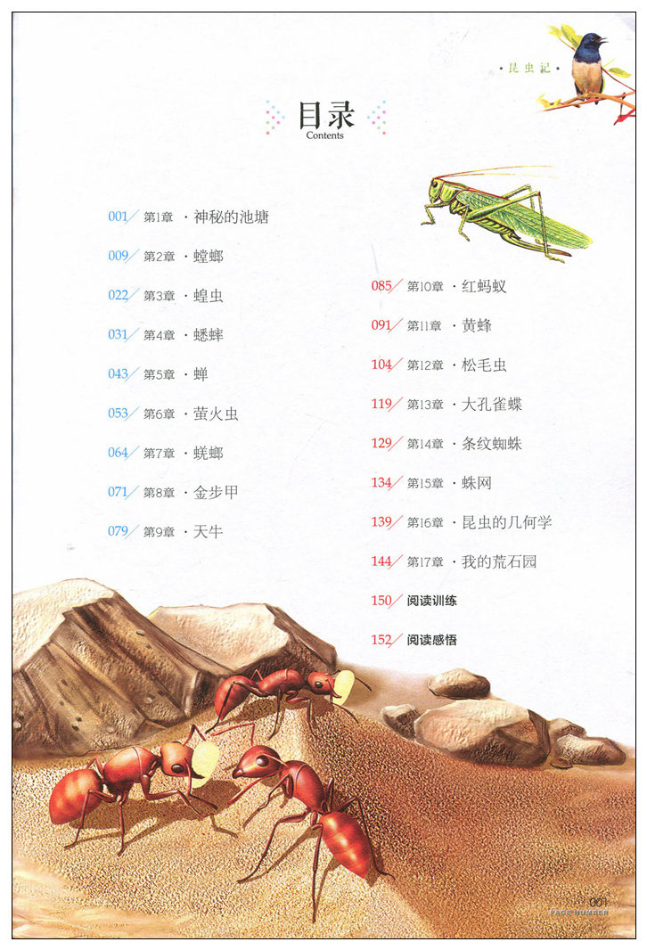 【任4本29元】昆虫记 新课标必读世界经典文学名著 名校名师全解版