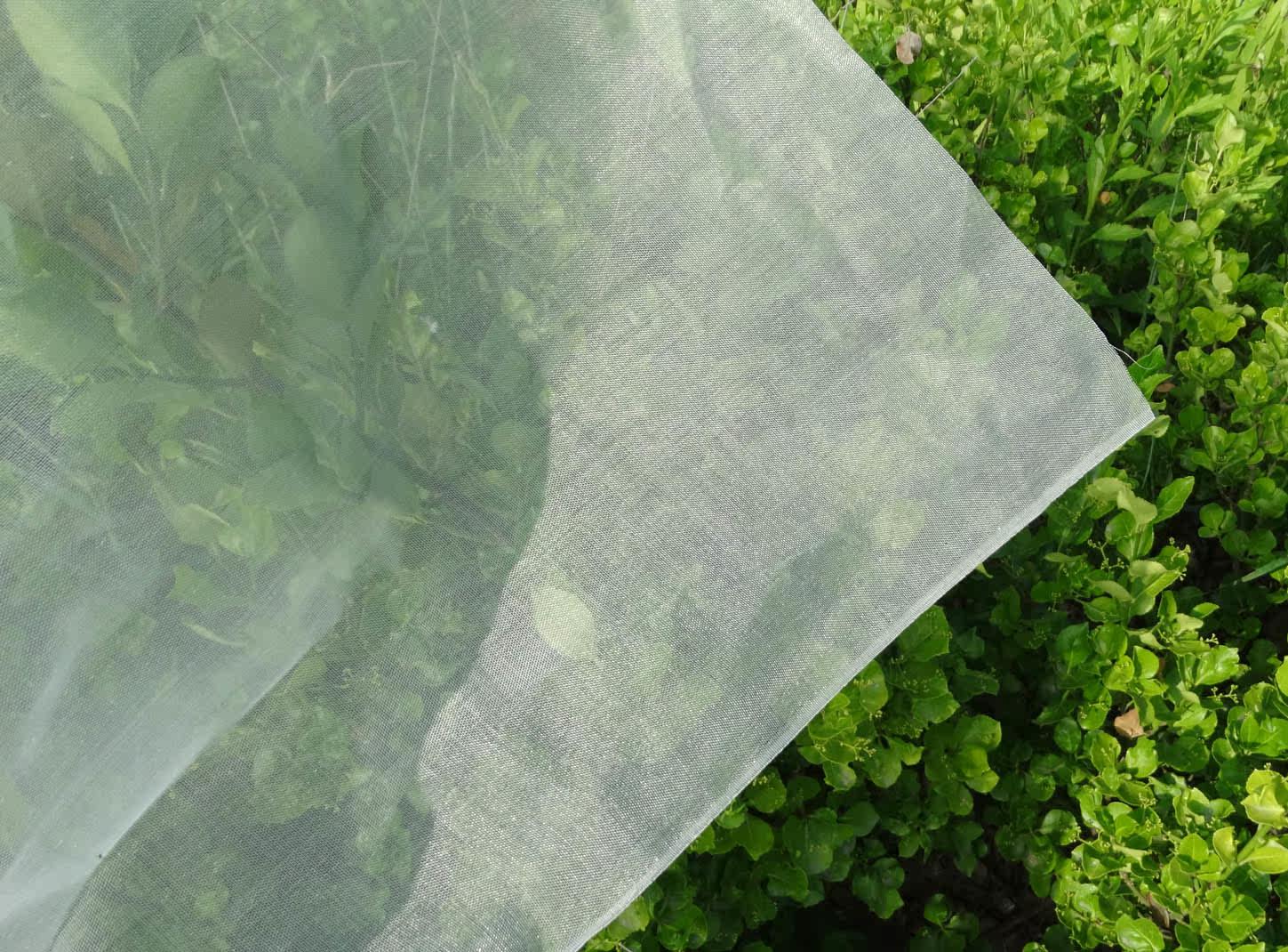 厚60目防蚊虫窗纱网 加密防蚊虫窗纱网 防尘窗纱网 加密防虫网