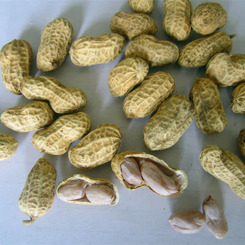 咸干花生农家自种水煮晒干无添加胜龙岩花生咸干花生原味250克