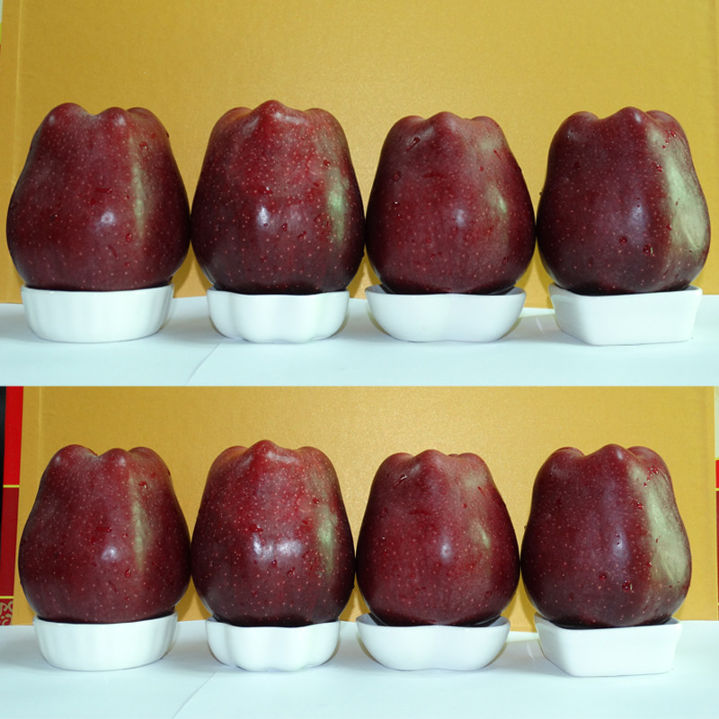 天水花牛苹果国产红蛇果 新鲜水果果园直供精品装大果8颗花牛果