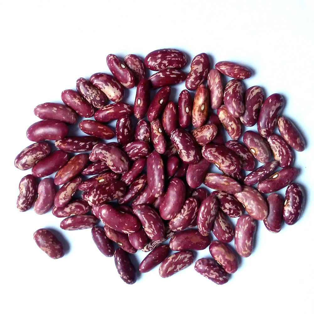 红芸豆 大红豆 红腰豆红花豆磨豆浆专用 农家自种贵州 五谷杂粮