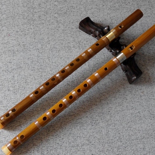 包邮乐器/6孔环保竖笛/学生儿童初学入门/葫芦笛子/免贴膜/竹笛