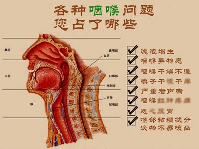 咽速寧 成人兒童嗓子疼喉嚨咽喉乾嚥癢咽乾 咳扁桃體腫痛口腔噴劑