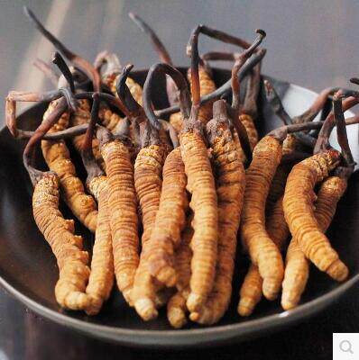 中药材精选同仁堂级冬虫夏草特干4根/1克每克仅售158元/满2克包邮