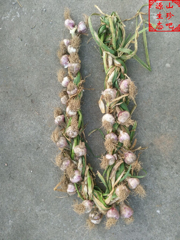 农家蒜连 蒜辫子蒜茎 艾草金银花蒜辫子 煮水