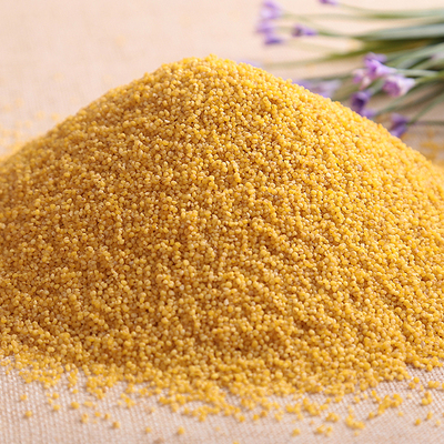 百优粒 东北五常农家自产黄月子米小黄米 黄小米杂粮 黑土种植