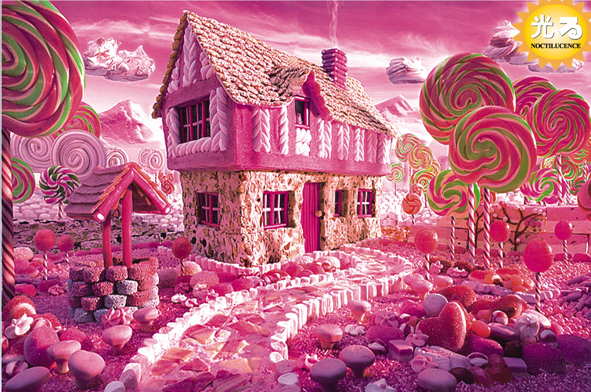 儿童成人1000片夜光白卡拼图风景动漫海贼王龙猫樱花星空城堡包邮