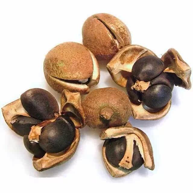 福建宁化山茶油野生山茶籽制作绿色健康500ml