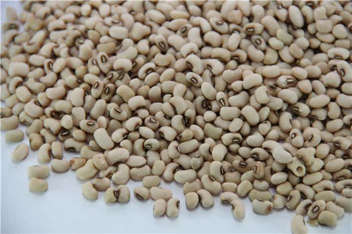 农家自种赤鼻小白豆 眉豆 白饭豆 白豇豆 杂粮 米豆 500g 满包邮