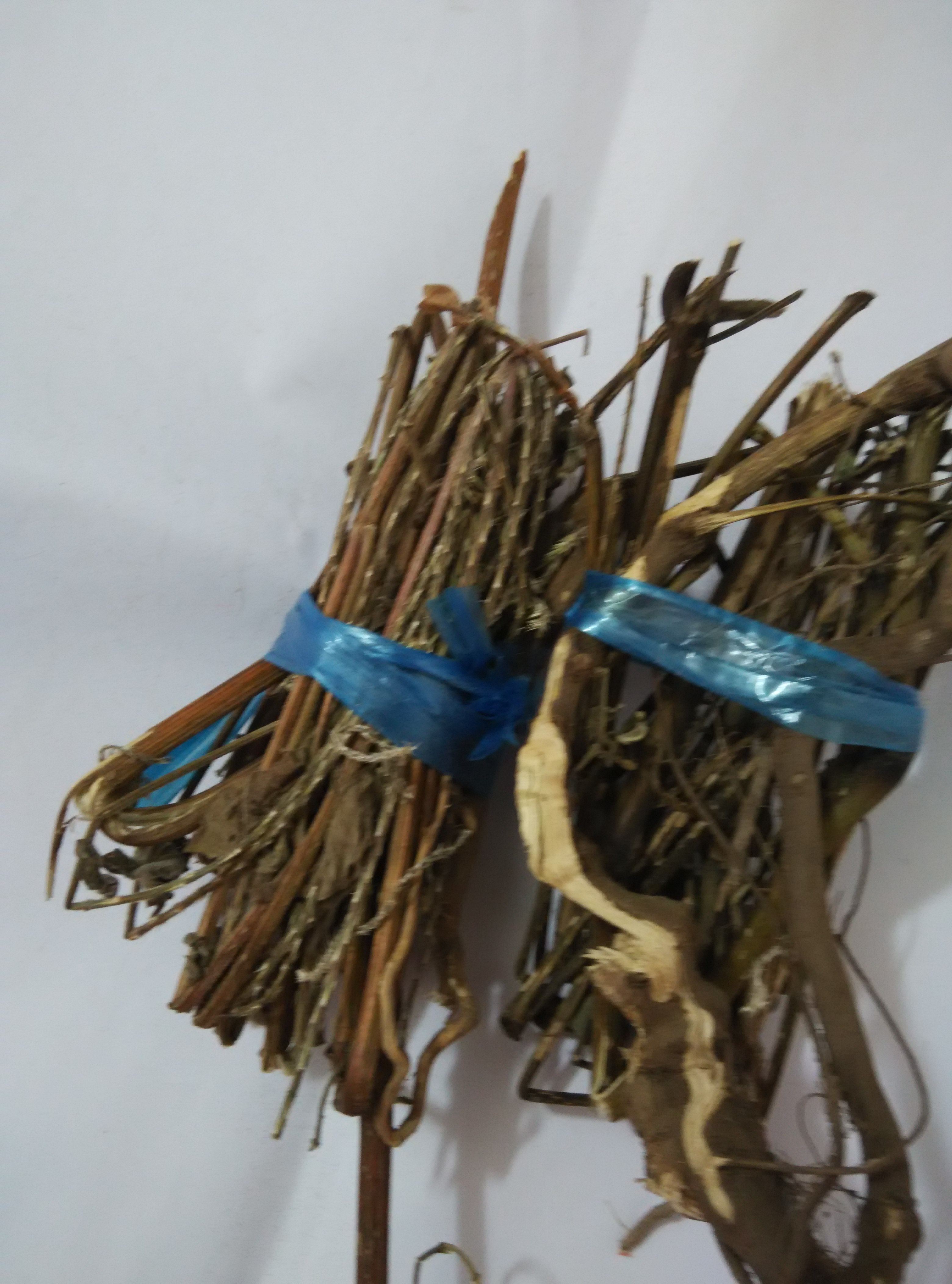 野生土牛膝 牛膝头 倒扣草 紫牛膝牛膝头 500g 两件包邮