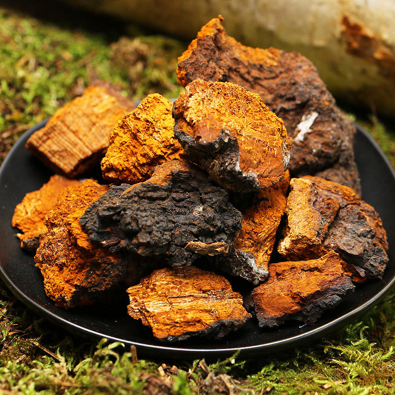 秦鼎泰桦树茸桦褐孔菌天然野生白桦茸俄罗斯进口桦树泪胆黄包邮