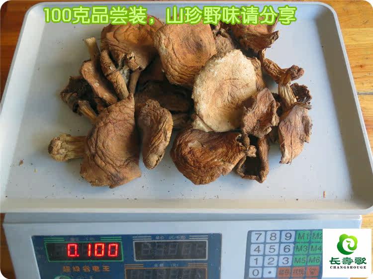 松鹅菇,(第3页)_大山谷图库