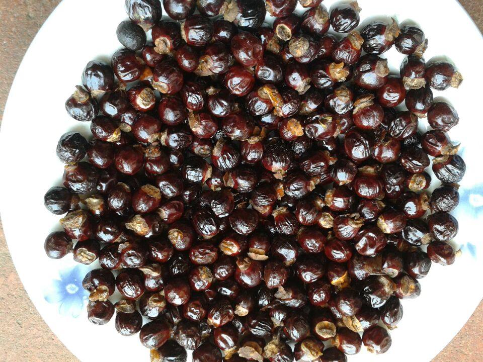 中药材 新货福建特产桂圆核 龙眼核 桂圆子/籽 500g4件包邮买6送1