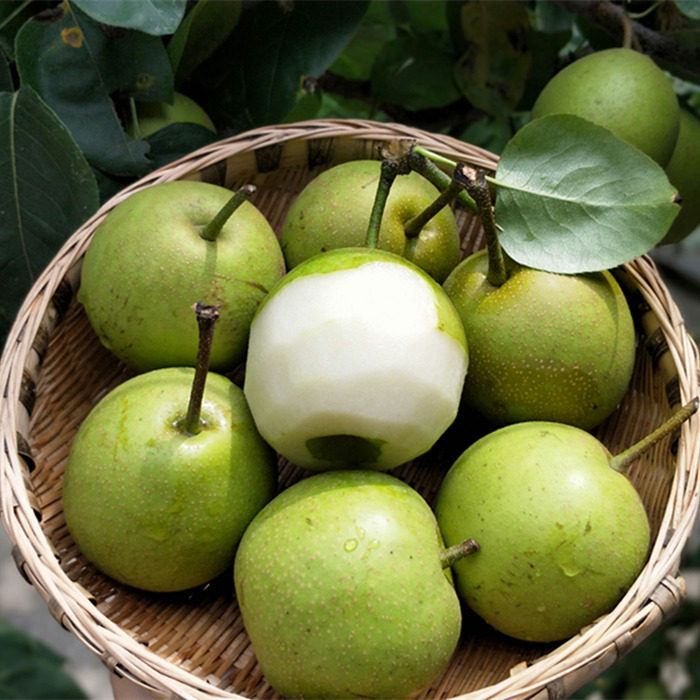 溧阳水果礼盒：在丰收季节传递甜蜜礼物