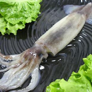 鲜鱿鱼3斤装 冰鲜海鲜水产 江浙沪皖包邮沃鲜汇生鲜超市